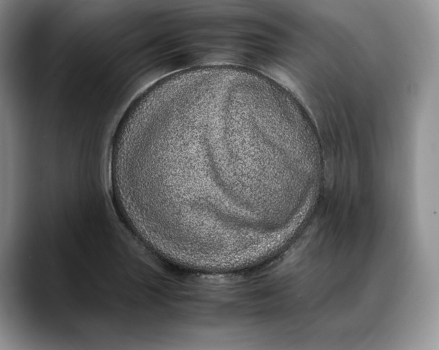 X0000088421227200706121426