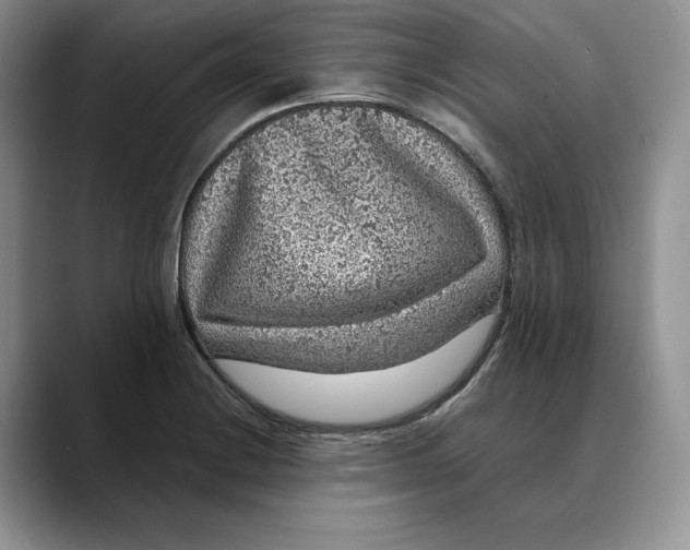 X0000088421228200706121426