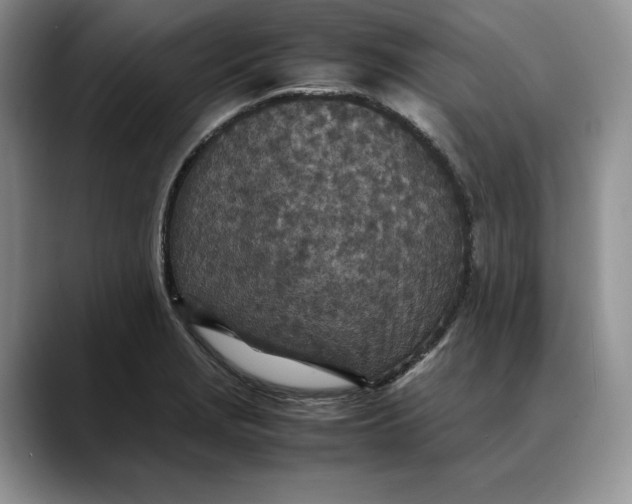 X0000088421229200706121426
