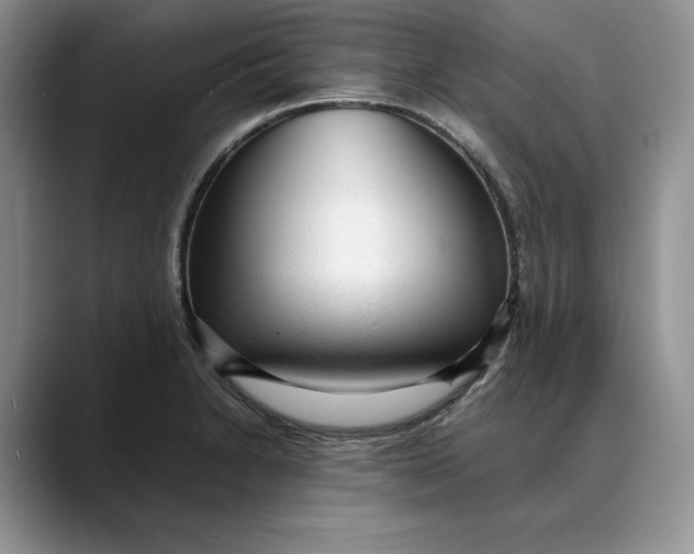 X0000088421230200706121426