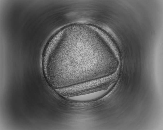 X0000088421232200706121426