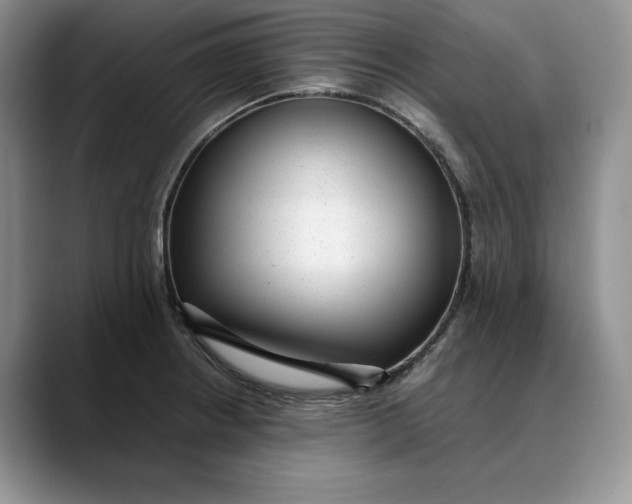 X0000088421234200706121427