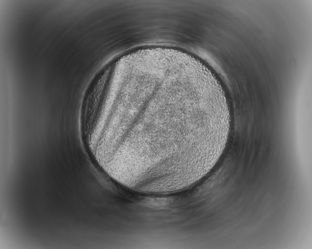 X0000088421237200706121427