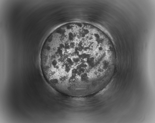 X0000088421239200706121427