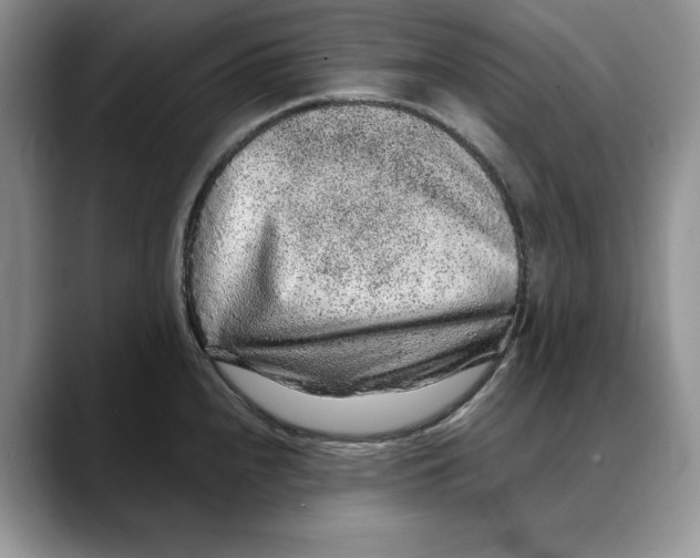 X0000088421240200706121427