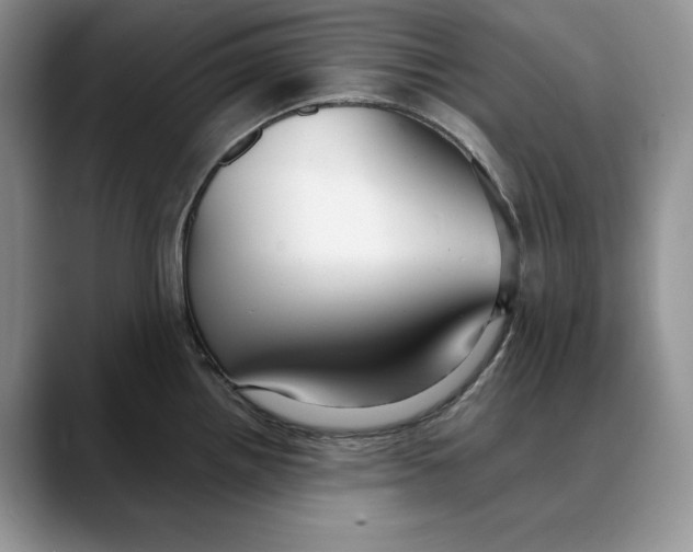 X0000088421242200706121427