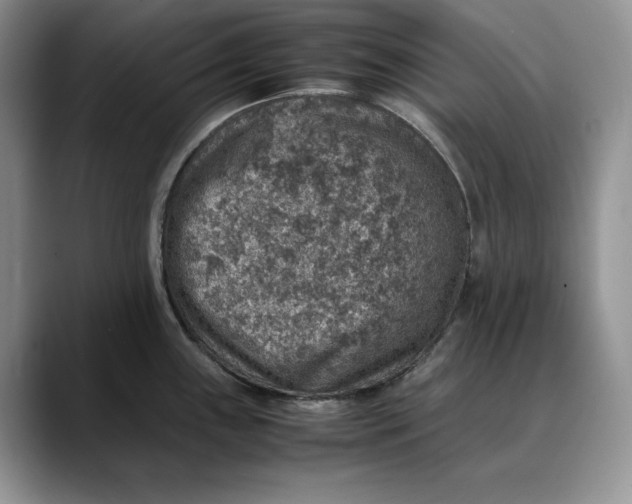 X0000088421243200706121427