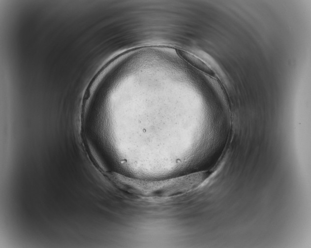X0000088421244200706121427
