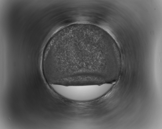 X0000088421245200706121427