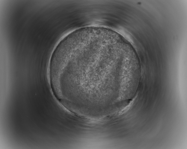 X0000088421247200706121427