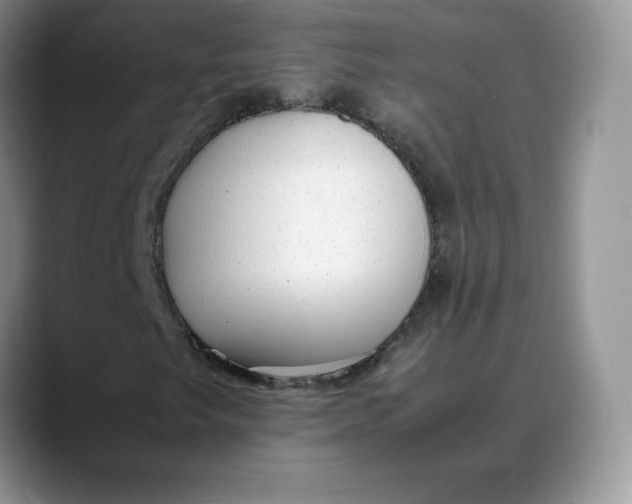 X0000088421249200706121426