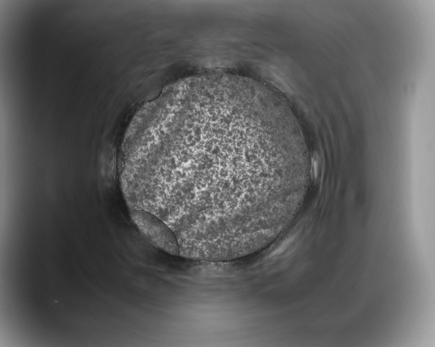 X0000088421251200706121426