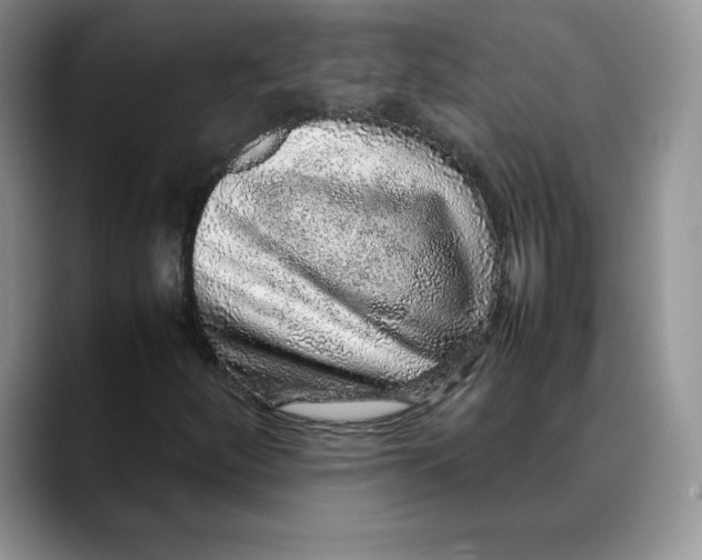 X0000088421252200706121426