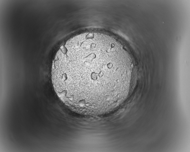 X0000088421255200706121426