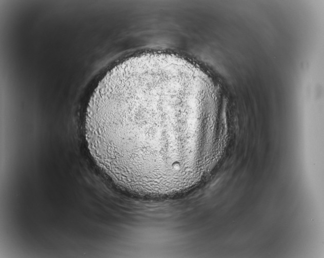 X0000088421256200706121426