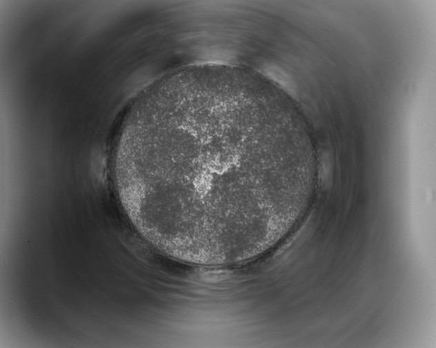 X0000088421258200706121426