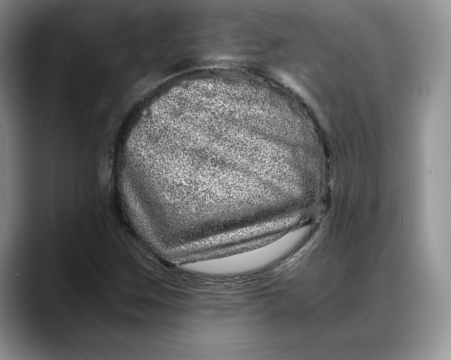 X0000088421259200706121426