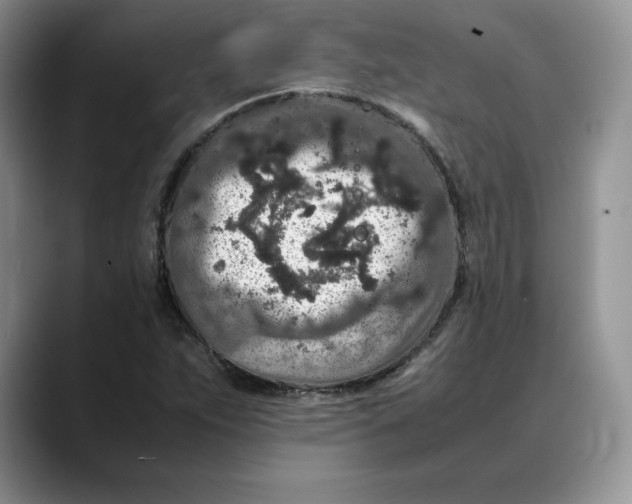 X0000088421263200706121426
