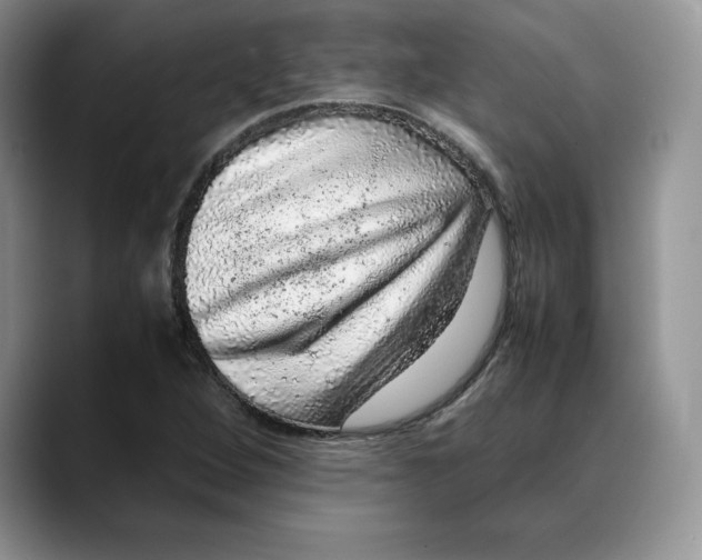 X0000088421264200706121426