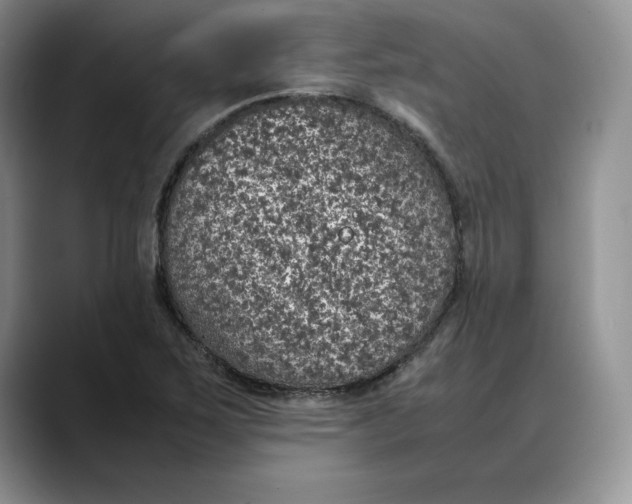 X0000088421267200706121426