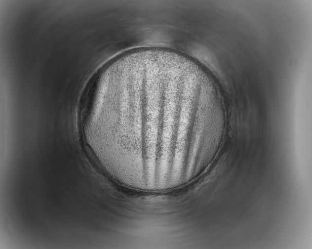 X0000088421268200706121426