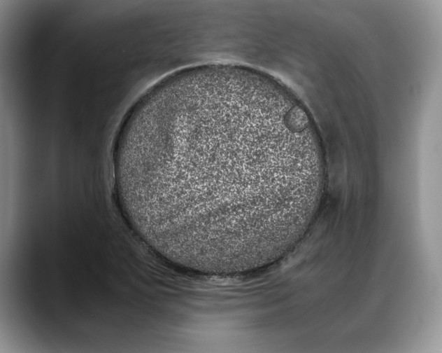 X0000088421271200706121426