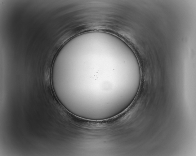 X0000088421273200706121426