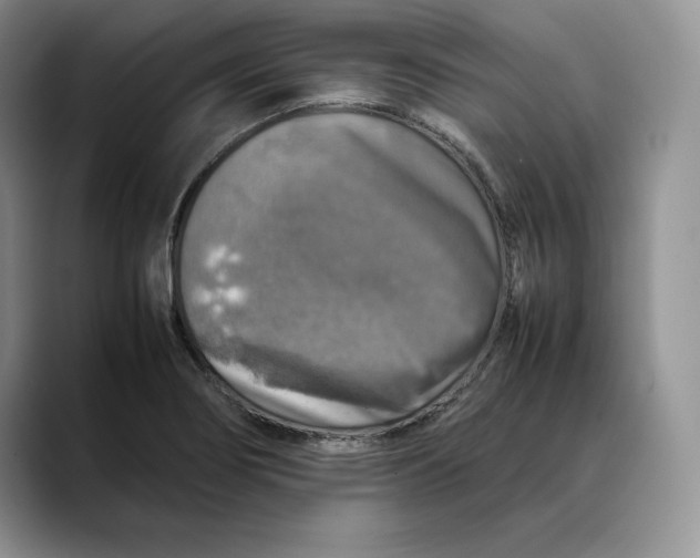 X0000088421274200706121426