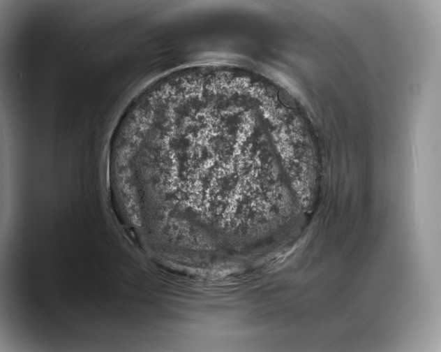 X0000088421275200706121426
