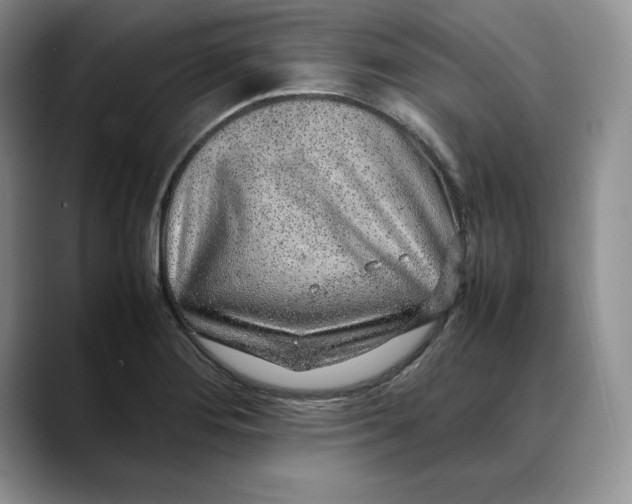 X0000088421276200706121426