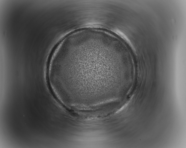 X0000088421277200706121426