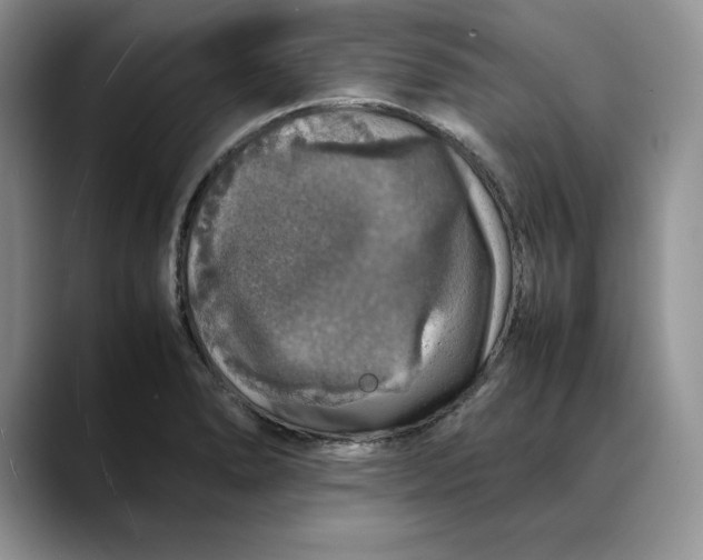 X0000088421278200706121426
