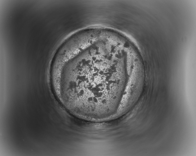 X0000088421279200706121426