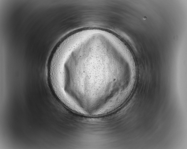 X0000088421280200706121426