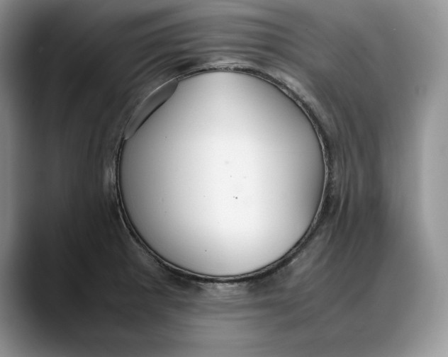 X0000088421281200706121426
