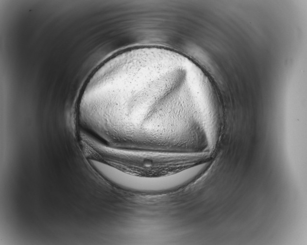 X0000088421284200706121426