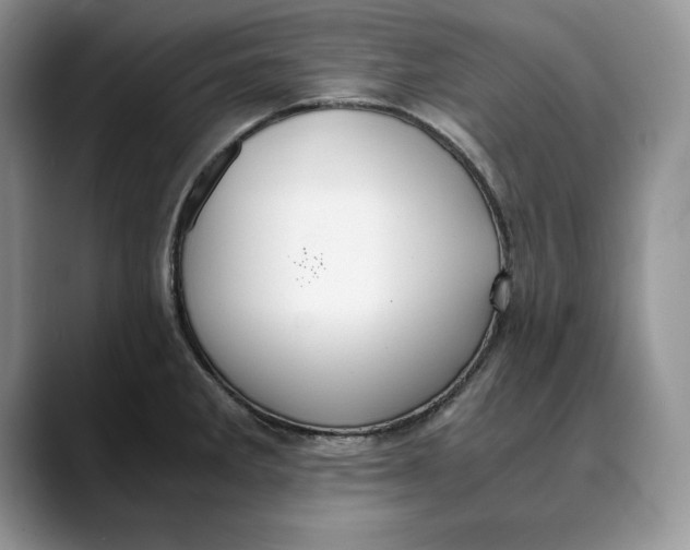 X0000088421285200706121426