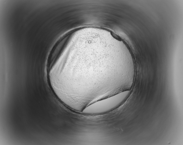 X0000088421288200706121426