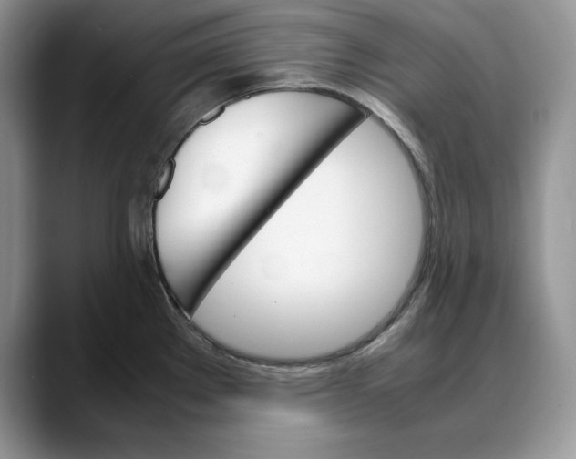 X0000088421289200706121426