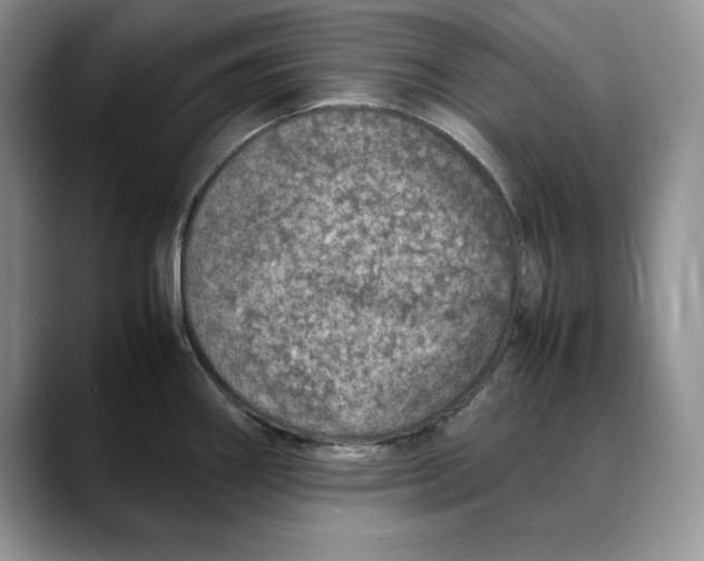 X0000088421290200706121426