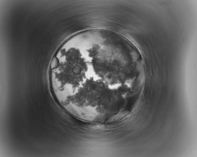 X0000088421291200706121426