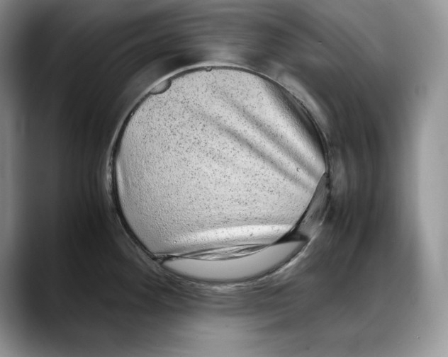X0000088421292200706121426
