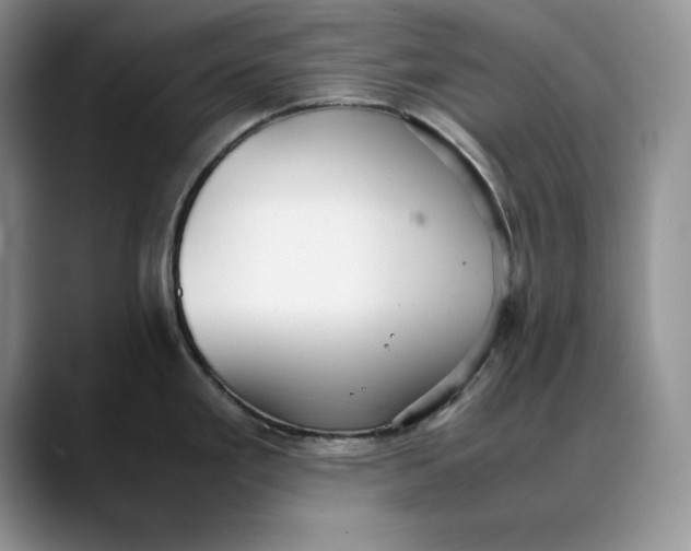 X0000088421293200706121426