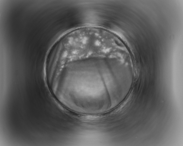 X0000088421294200706121426