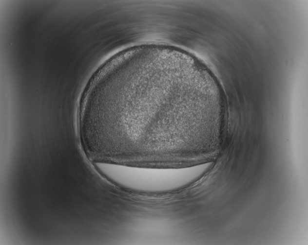 X0000088421295200706121426