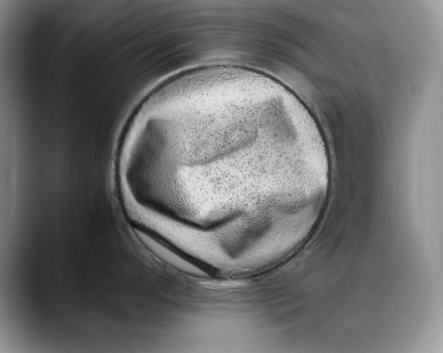 X0000088421296200706121426
