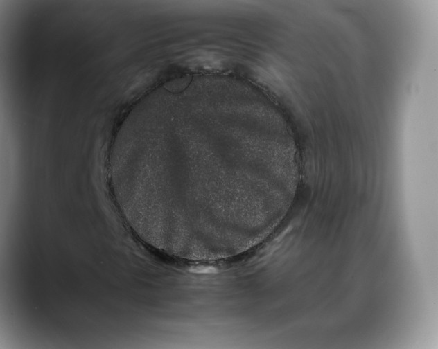 X0000088421297200706121425