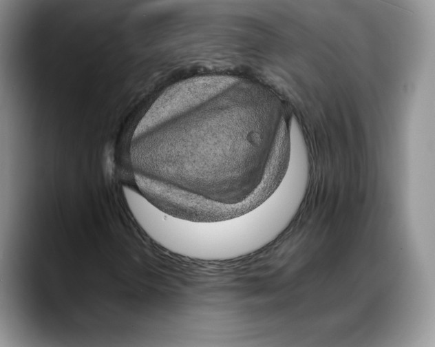 X0000088421298200706121425