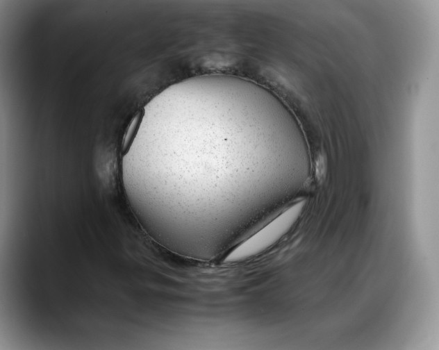 X0000088421299200706121425