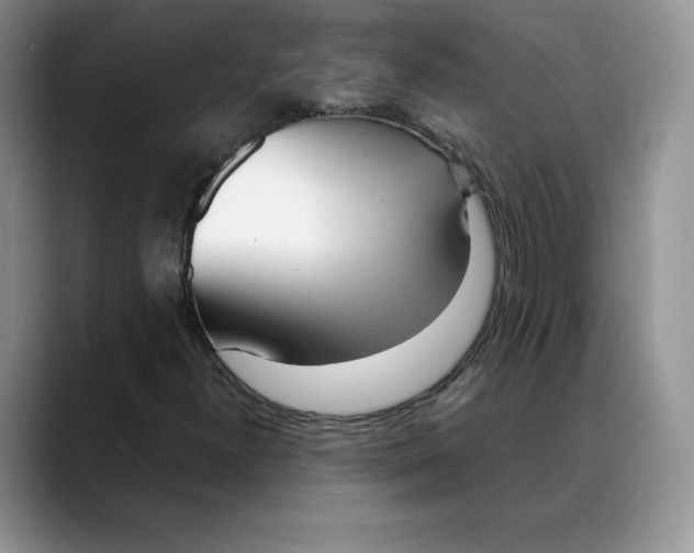 X0000088421300200706121425